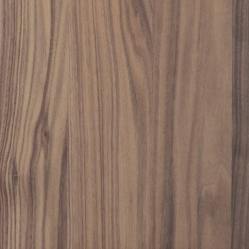 אגוז אמריקאי